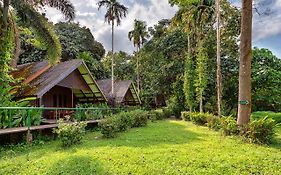 Khao Sok Riverside Cottages